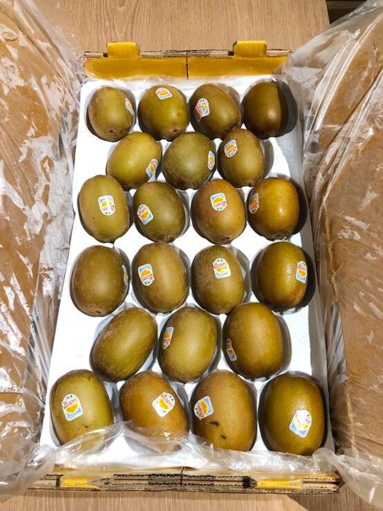 紐西蘭黃金奇異果