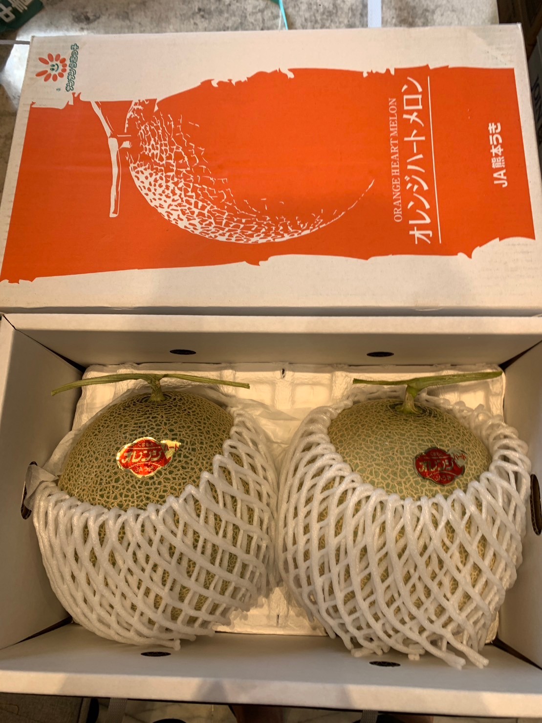 熊本瓜(くまもとメロン）